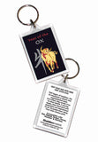 Year of the Ox Asian Oriental Chinese 2 pk Keyrings Birth Years: 1937, 49, 61, 73, 85, 97, 09, 2021
